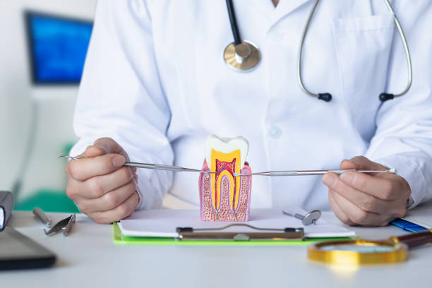 Best Broken Tooth Emergency  in Fords Prairie, WA